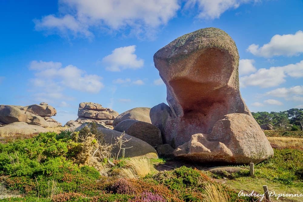 Bretagne – Ploumanac’h (8)