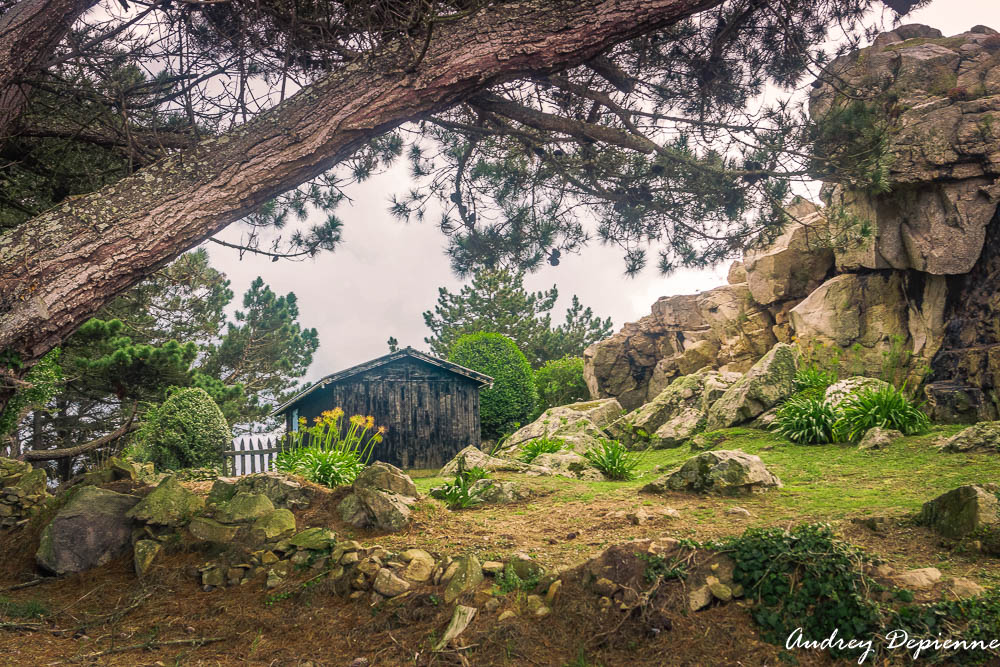 Bretagne – Plougrescant (3)