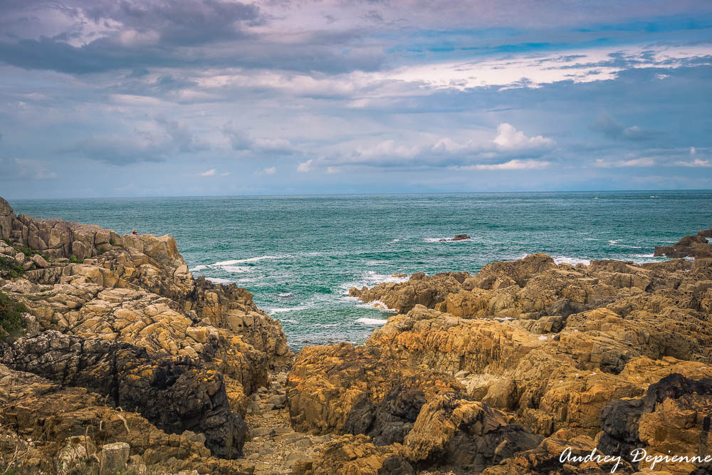 Bretagne – Plougrescant (6)