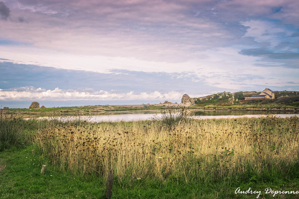 Bretagne – Plougrescant (9)