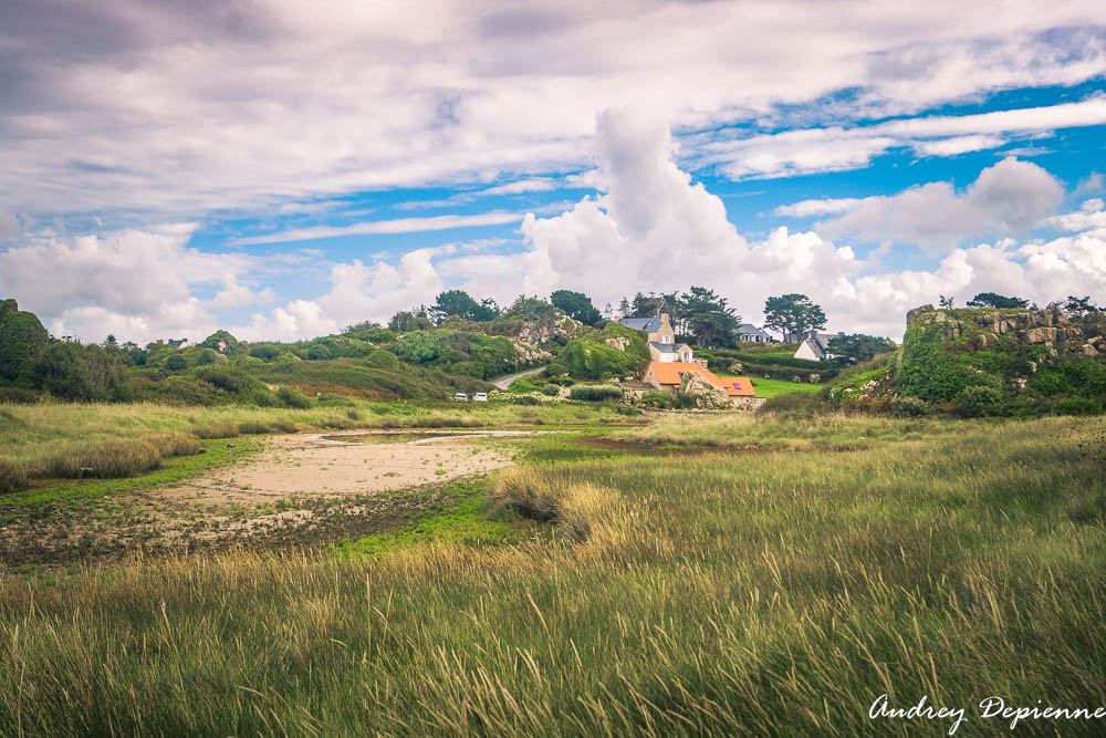 Bretagne – Plougrescant (10)