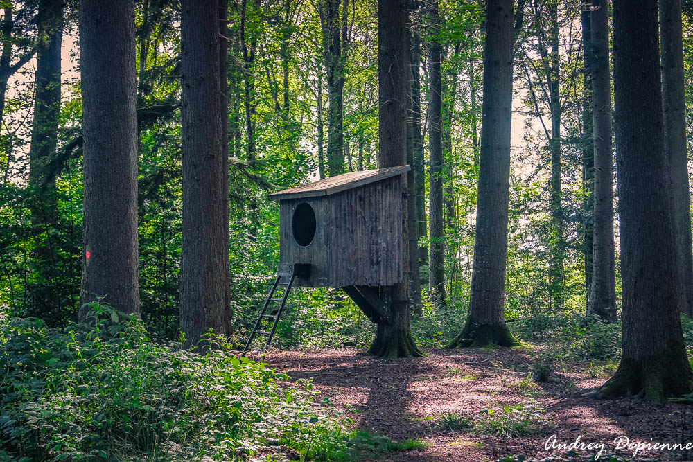 Sentier des Plumes (2)