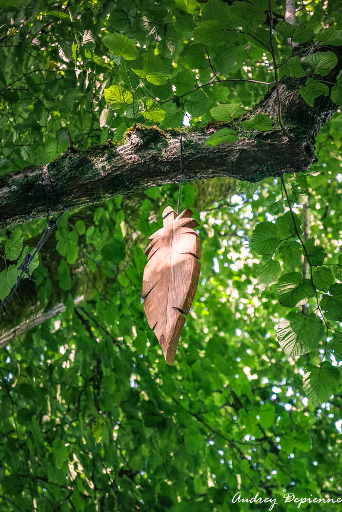 Sentier des Plumes (5)